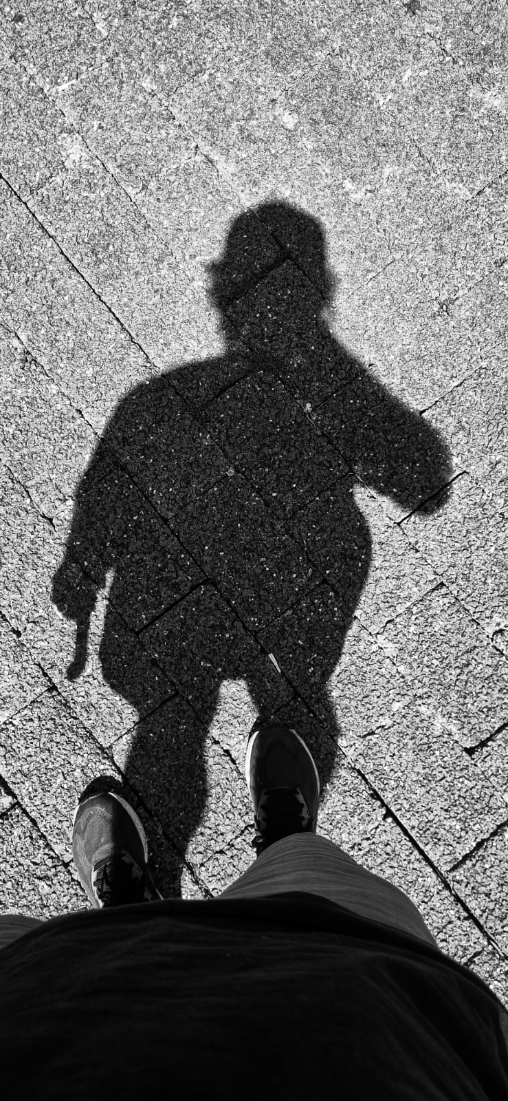 foto bio